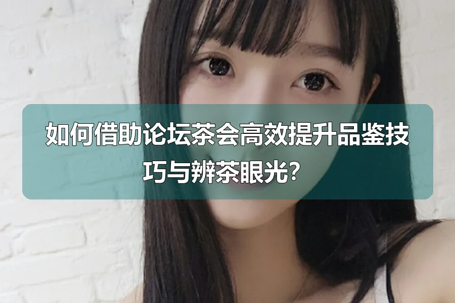 如何借助论坛茶会高效提升品鉴技巧与辨茶眼光？
